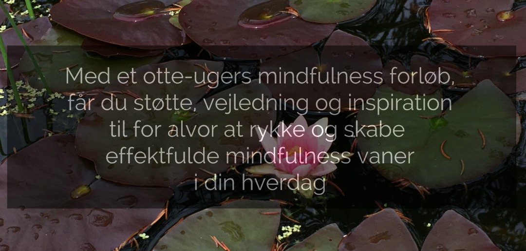 Mindfulness kursus Odense Aboutnow.dk