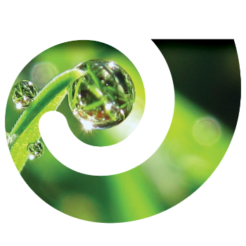 Mindfulness Works logo